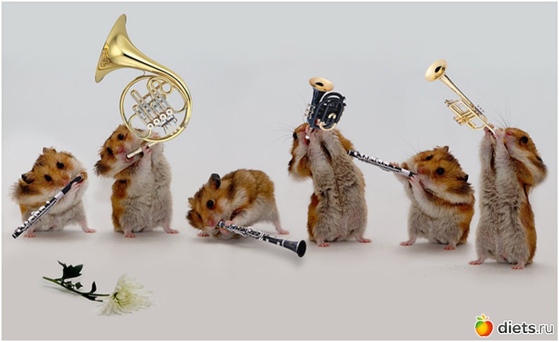 31 фото: все подряд