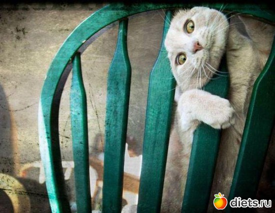 40 фото: все подряд