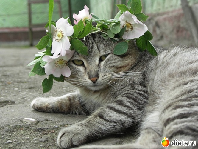 3 фото: все подряд