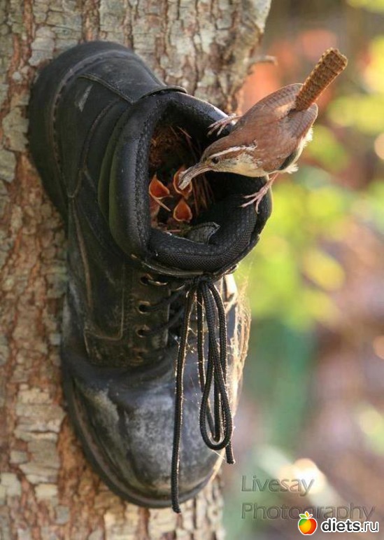 17 фото: все подряд