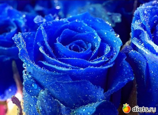 4 ����: �����