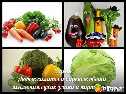 магги в картинках