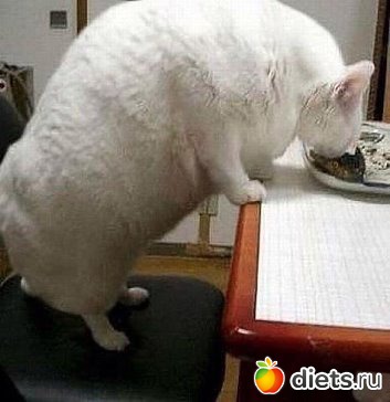 смешки для улыбки