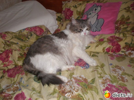 ����������?, ������: ����