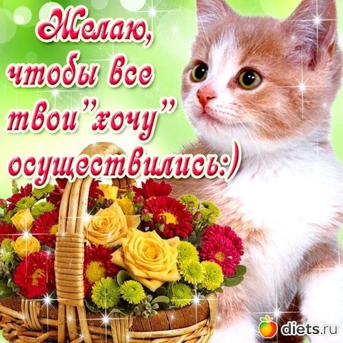 203 ����: ������ �������...