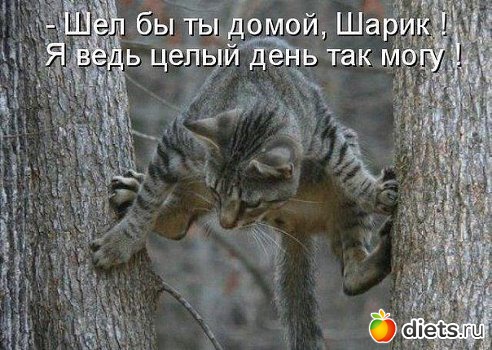 смешки для улыбки