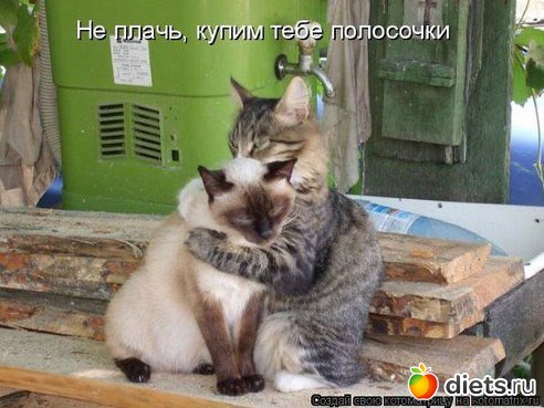 смешки для улыбки