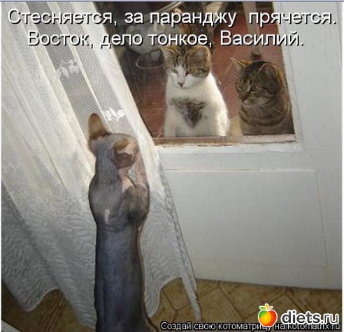 смешки для улыбки