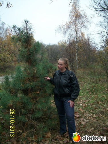 ����� ������� 2013, ��� ����� 83 ��, ������: ��� � ���������� �� ���