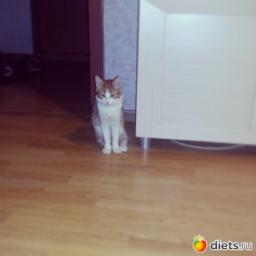 2 ����: ��� ��������� ����-�����