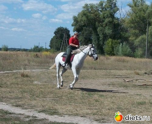 ��������� � �������� ����. ����� ������� 2013, ��� 89 ��