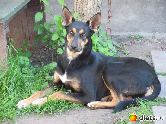 Красотка Маня,1 год., альбом: Кто в доме хозяин