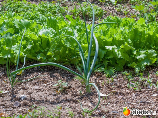 71 ����: �����-����-����� 2013 - 2015