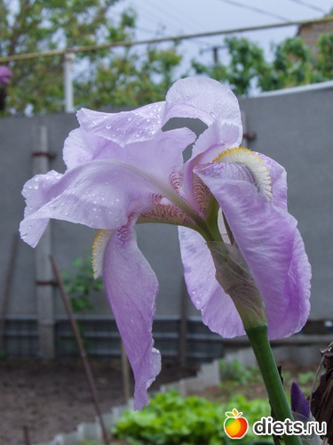 72 ����: �����-����-����� 2013 - 2015