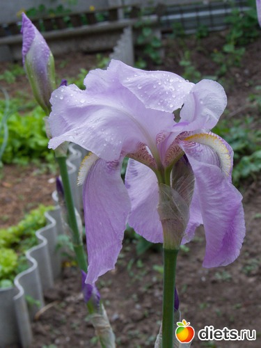 73 ����: �����-����-����� 2013 - 2015