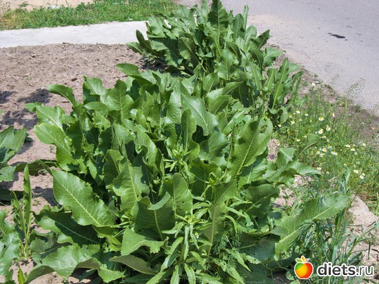 76 ����: �����-����-����� 2013 - 2015