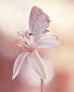 Конец и начало: