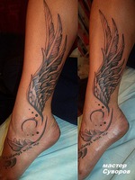 ����������