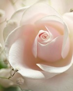 2 ���� ������� �����: