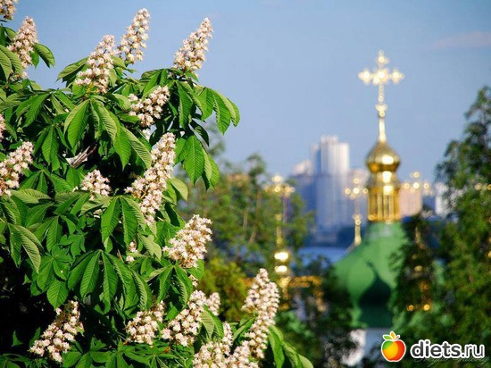 4 фото: Киев...люблю...
