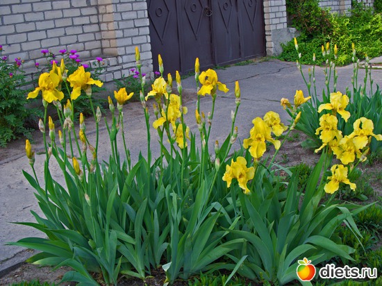 77 ����: �����-����-����� 2013 - 2015