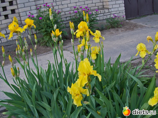 78 ����: �����-����-����� 2013 - 2015