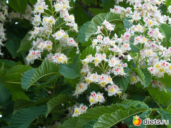 80 ����: �����-����-����� 2013 - 2015