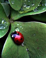 Начало!!1 день: