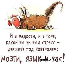 ��� ����