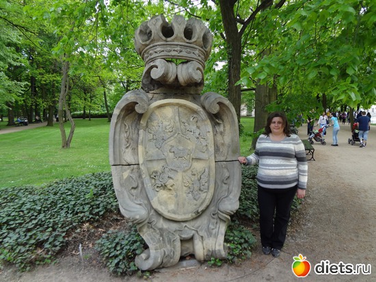 3 ����: ��� ����