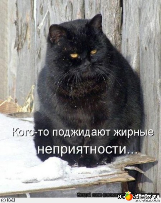 2 фото: Воть как-то так))