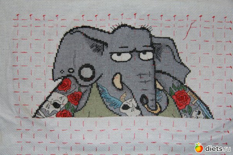 5 ����: ��� ��������