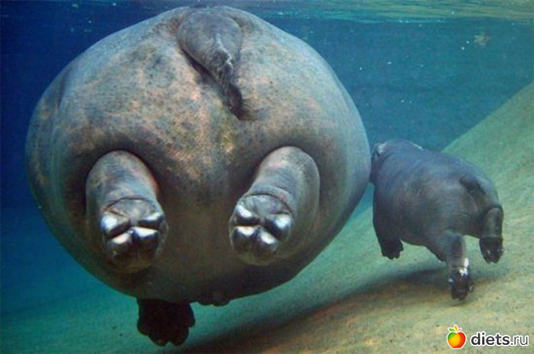 10 ����: ���� ���-�� ���))