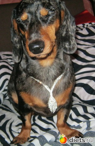 36 ����: ����� 2013 � ������...