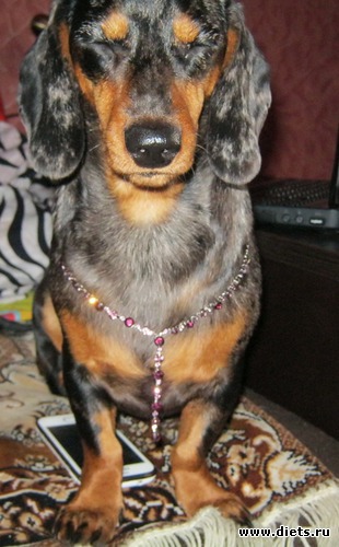 40 ����: ����� 2013 � ������...