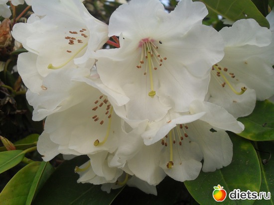 45 ����: ������������� ����