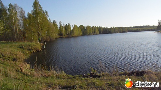 5 ����: �������