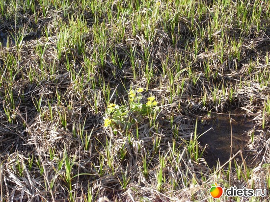 20 ����: �������