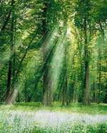 Продолжение!