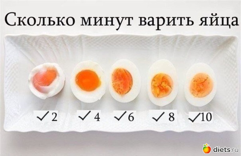 6 ����: ����������)