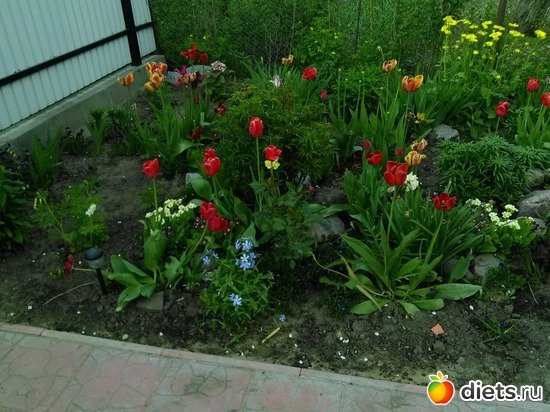 60 фото: просто