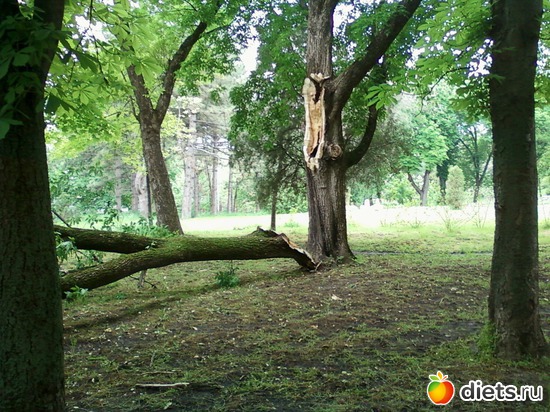 после грозы, альбом: природа