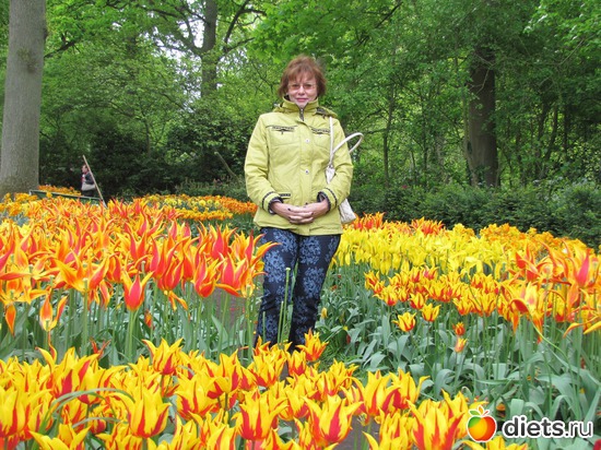 11 фото: Голландия-страна цветов