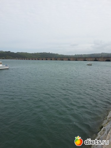 46 фото: нужное