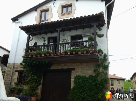 49 фото: нужное