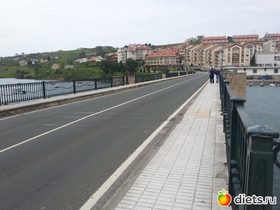 54 фото: нужное