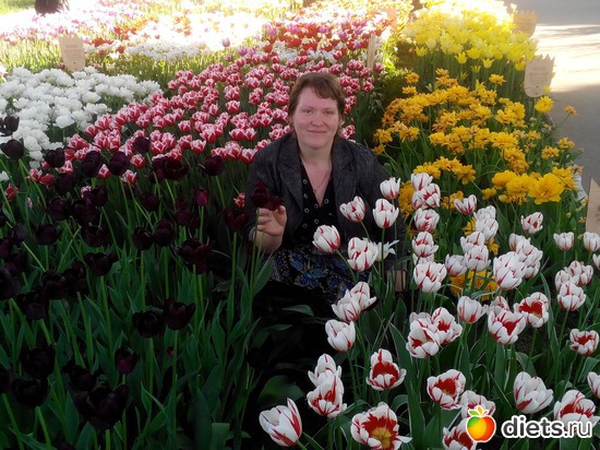 74 ����: ������