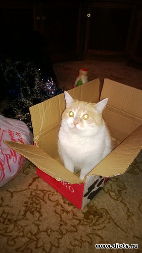 Мой Клепыч, альбом: Я