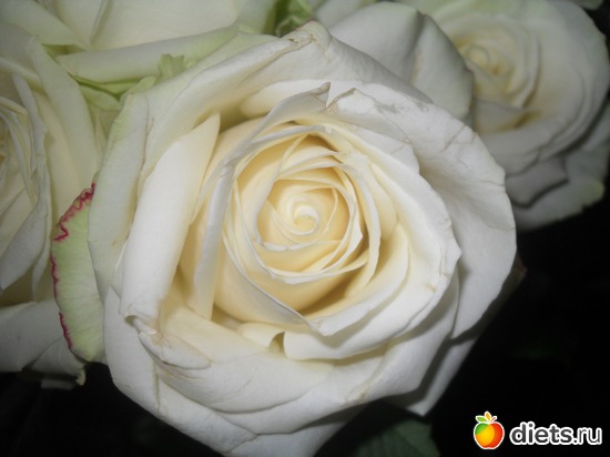 3 ����: ����