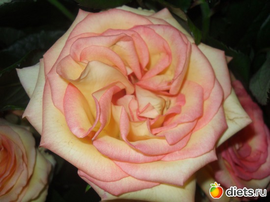 5 ����: ����